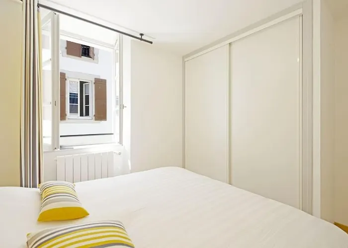 Gambetta * 생장드루즈